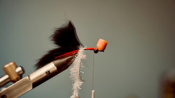 FOSAF_5872.jpg FOSAF_5872.jpg
