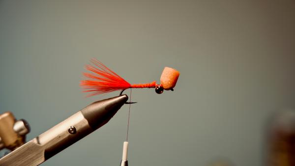 FOSAF_5873.jpg FOSAF_5873.jpg
