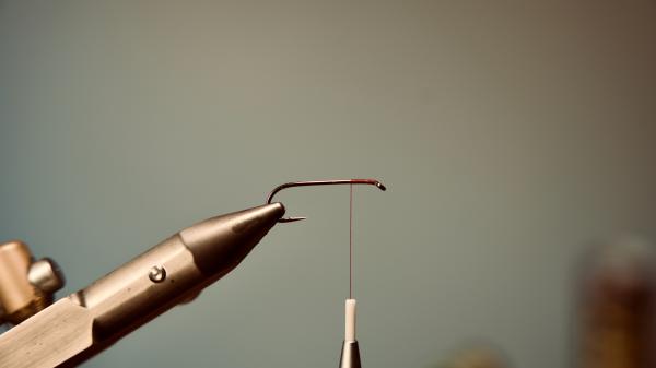 FOSAF_5877.jpg FOSAF_5877.jpg