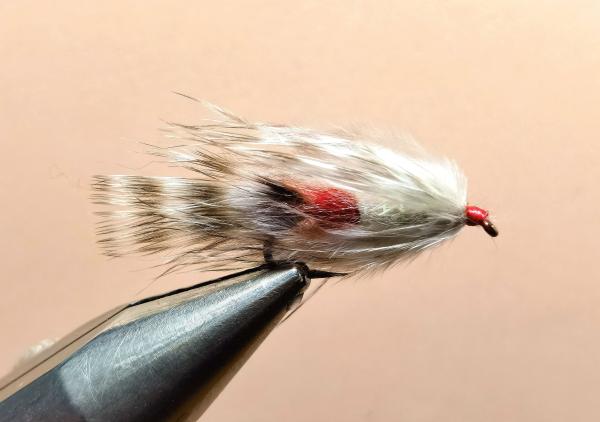 FOSAF_5935.jpg FOSAF_5935.jpg