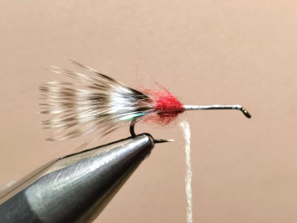FOSAF_5939.jpg FOSAF_5939.jpg