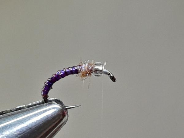 FOSAF_6057.jpg