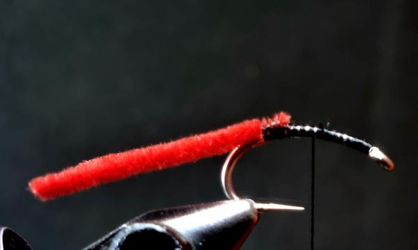 FOSAF_6329.jpg FOSAF_6329.jpg