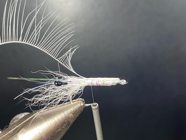 FOSAF_6360.jpg FOSAF_6360.jpg