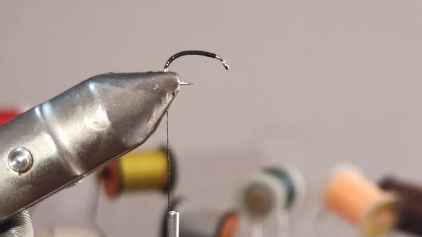 FOSAF_6494.jpg FOSAF_6494.jpg