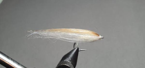 FOSAF_6608.jpg FOSAF_6608.jpg