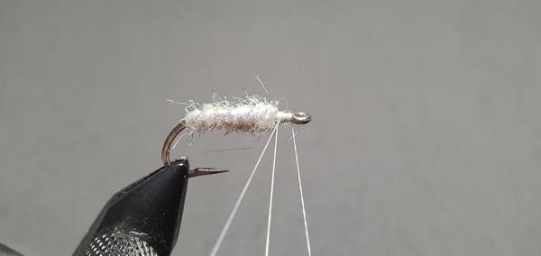 FOSAF_6630.jpg FOSAF_6630.jpg