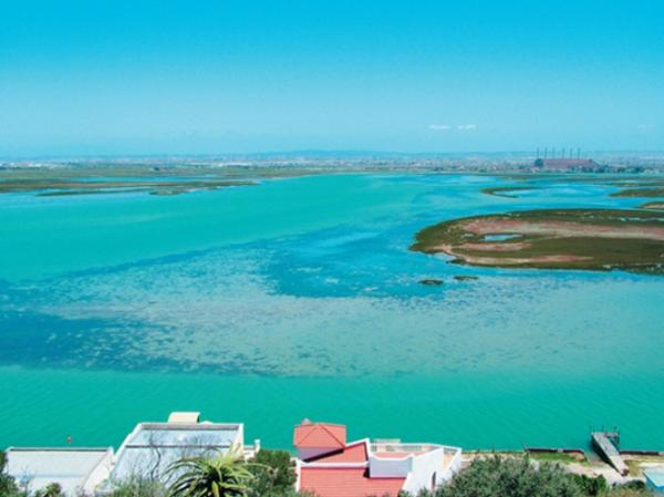 FOSAF_7333.jpg