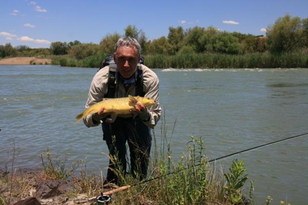 FOSAF_7558.jpg
