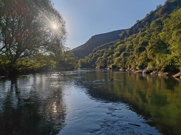 FOSAF_7591.jpg